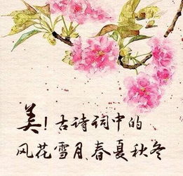 詩(shī)句中有詩(shī)卉的古詩(shī)詞