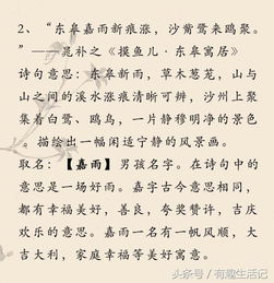 用古詩(shī)句班級命名
