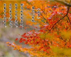 秋天的詩(shī)句七言古詩(shī)