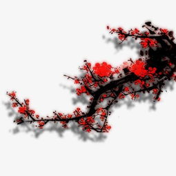 古詩(shī),詩(shī)句,梅花,贊美