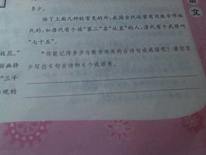 春節相關(guān)的古詩(shī)句和諺語(yǔ)