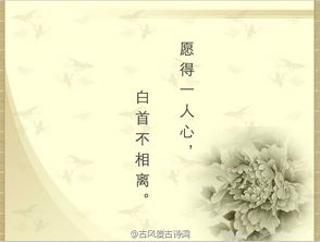 長(cháng)壽,詩(shī)句