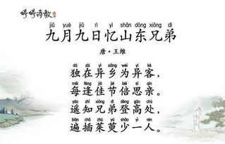 詩(shī)句九月九日憶山東兄弟古詩(shī)