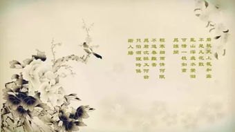 有關(guān)描寫(xiě)邊塞的詩(shī)句古詩(shī)詞