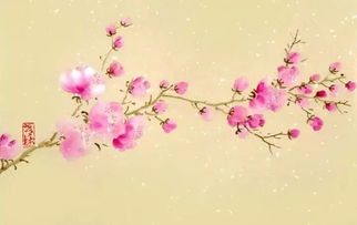 喜歡花的詩(shī)句經(jīng)典,古人喜歡的花的詩(shī)句,表達喜歡花的詩(shī)句