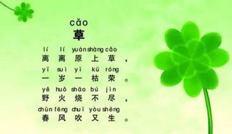 關(guān)于春天小草的詩(shī)句古詩(shī),描寫(xiě)春天小草的詩(shī)句古詩(shī),贊美春天小草的詩(shī)句古詩(shī)