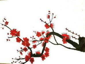 有花字的詩(shī)句古詩(shī),關(guān)于花的詩(shī)句古詩(shī),關(guān)于花的唯美詩(shī)句古詩(shī)