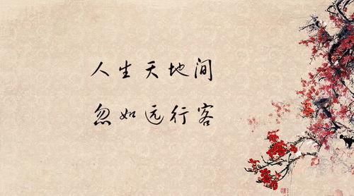 優(yōu)美句子及古詩(shī)句