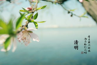 古詩(shī),詩(shī)句,描寫(xiě),詞中