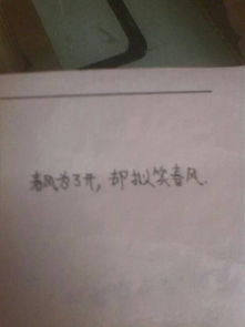 請寫(xiě)出帶風(fēng)的古詩(shī)句