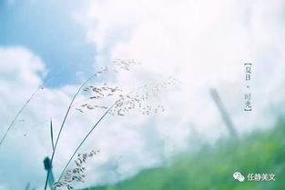 感嘆時(shí)間流逝的詩(shī)古詩(shī)句