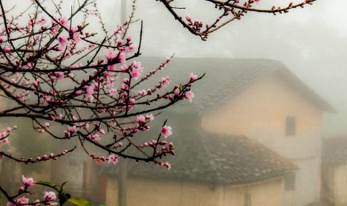 詩(shī)句,不染,形容
