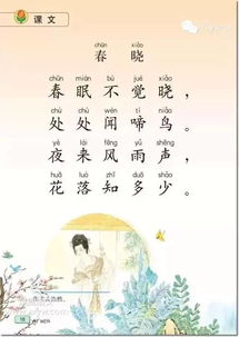關(guān)于春天的詩(shī)句古詩(shī)小學(xué)二級