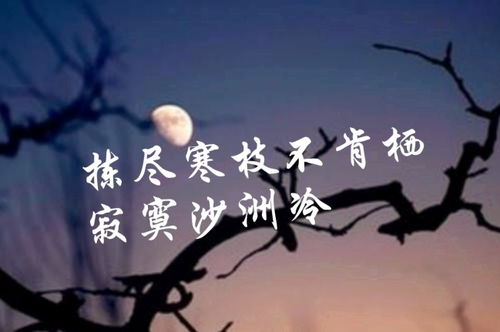 內心強大的古詩(shī)句,關(guān)于內心堅定的古詩(shī)句,落寞失落的古詩(shī)句