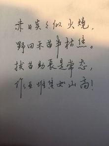 詩(shī)句,比喻,流逝,青春