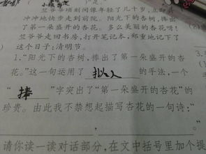 關(guān)于杏花的古詩(shī)句小學(xué)