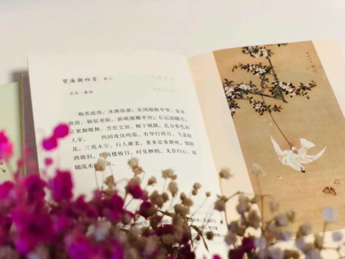 詩(shī)句,形容,醫生