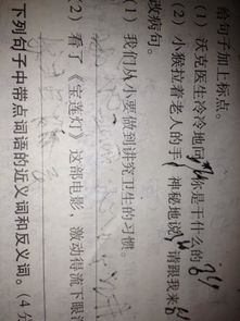 古詩(shī)里帶有桃子的詩(shī)句