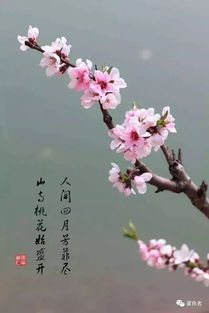 詩(shī)句
