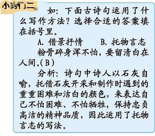 作文,詩(shī)句,理解