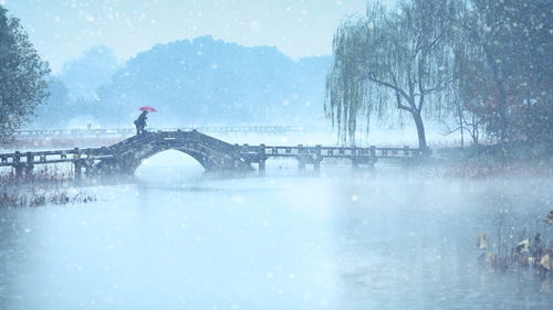 西湖贊美的詩(shī)句古詩(shī)詞