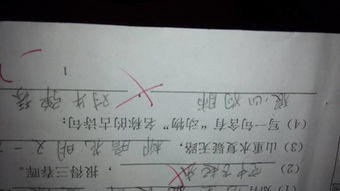 關(guān)于狗字的古詩(shī)句