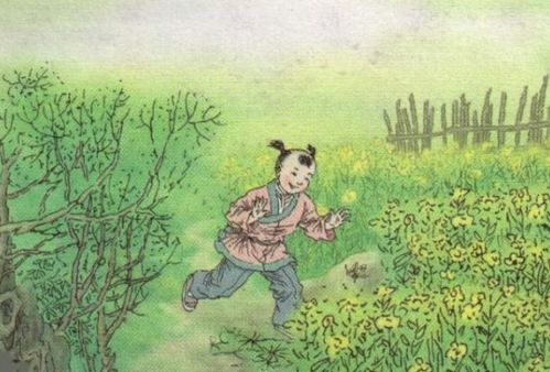 描寫(xiě)兒童生活樂(lè )趣的古詩(shī)句