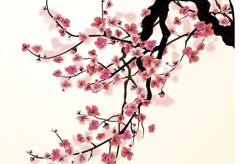 花的古詩(shī)句子有哪些