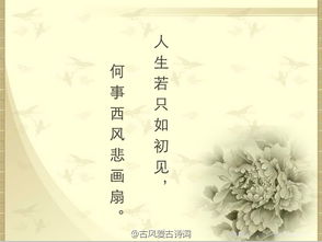 超唯美的古詩(shī)句