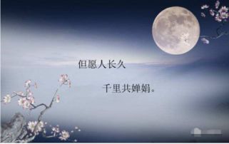 中秋關(guān)于月亮的詩(shī)句古詩(shī)詞