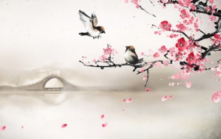 關(guān)于蕓的思念詩(shī)句
