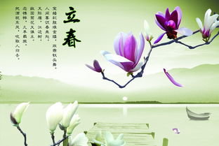 立春古詩(shī)句