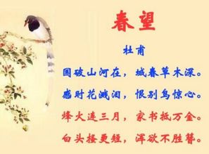 寫(xiě)幾句表達思鄉情感的古詩(shī)句