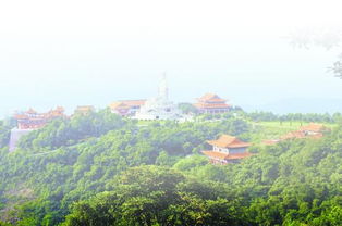 關(guān)于綠水青山重要性的詩(shī)句