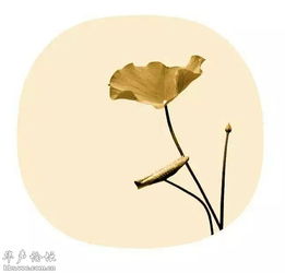 表達愛(ài)情遺憾的古詩(shī)句