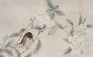指寫(xiě)桂花的古詩(shī)句,描寫(xiě)桂花的古詩(shī)句,關(guān)于桂花的古詩(shī)句