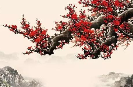 古詩(shī),詩(shī)句,梅花,勵志