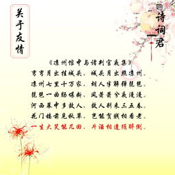關(guān)于友誼的詩(shī)句古詩(shī)詞