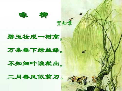 描寫(xiě)冬至的優(yōu)美詩(shī)句古詩(shī),描寫(xiě)風(fēng)景的優(yōu)美詩(shī)句古詩(shī),描寫(xiě)冬天的優(yōu)美詩(shī)句古詩(shī)
