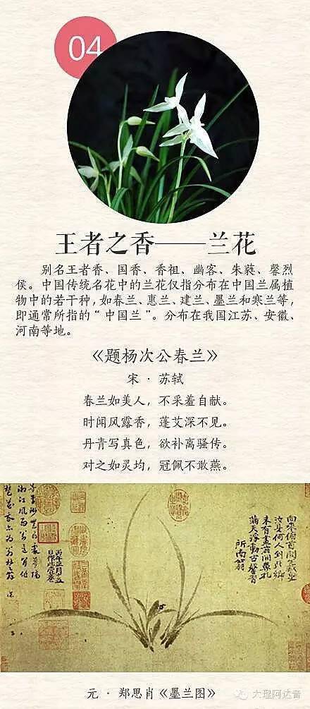 詩(shī)句里帶有花的古詩(shī)