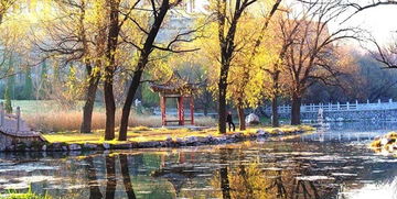 關(guān)于深秋初冬的詩(shī)句