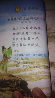 有諷刺意義的古詩(shī)句