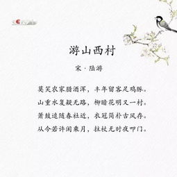 詩(shī)句,詩(shī)人,體現,生態(tài)