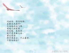詩(shī)句,形容