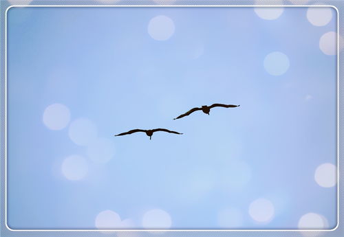 詩(shī)句,傷心,大全