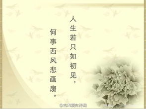 社會(huì )人古詩(shī)句子