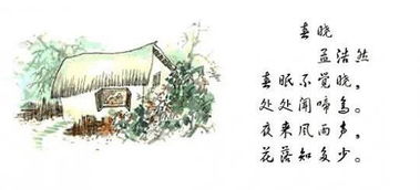 描寫(xiě)花風(fēng)雨草鳥(niǎo)的詩(shī)句古詩(shī)