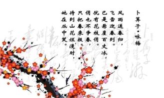 梅的詩(shī)句古詩(shī)