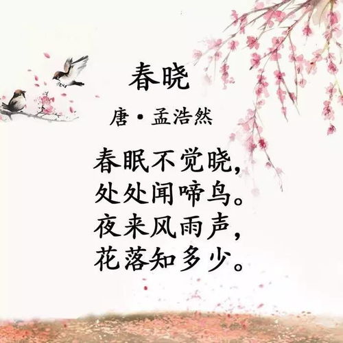 寫(xiě)出關(guān)于春的詩(shī)句古詩(shī)