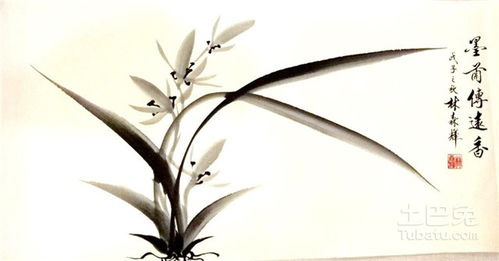 關(guān)于竹子的詩(shī)句簡(jiǎn)單的
